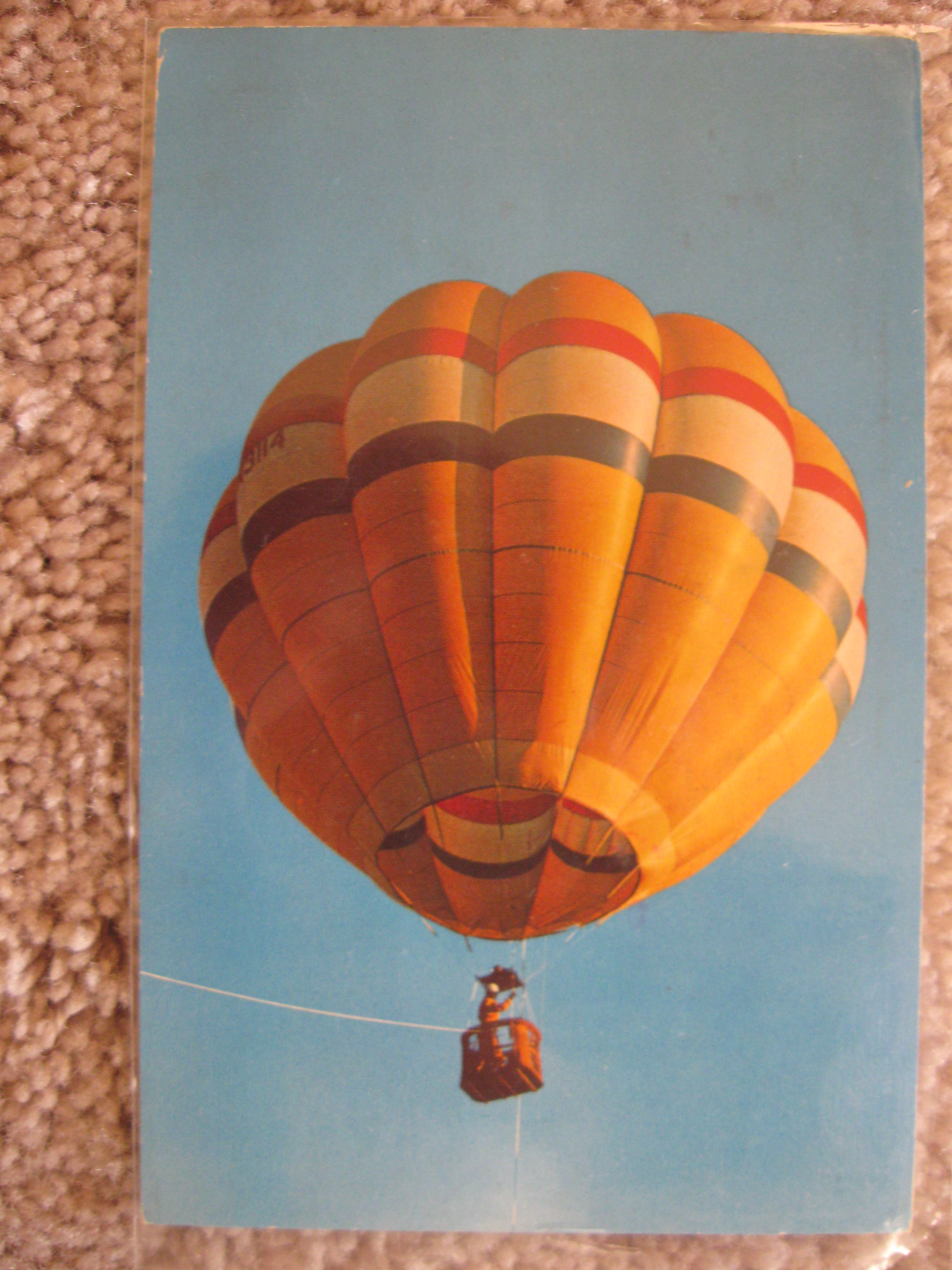 Montgolfier Balloon Golden Bear II